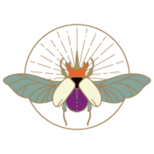 accompagnement et therapie vannes